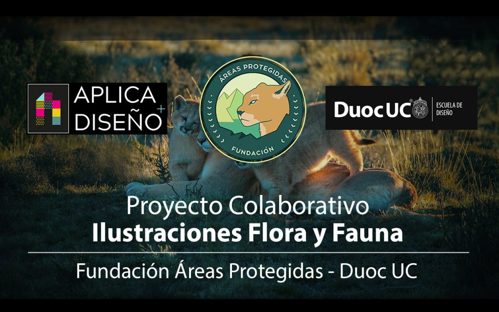 Ilustraciones Flora y Fauna – Fundación Áreas Protegidas