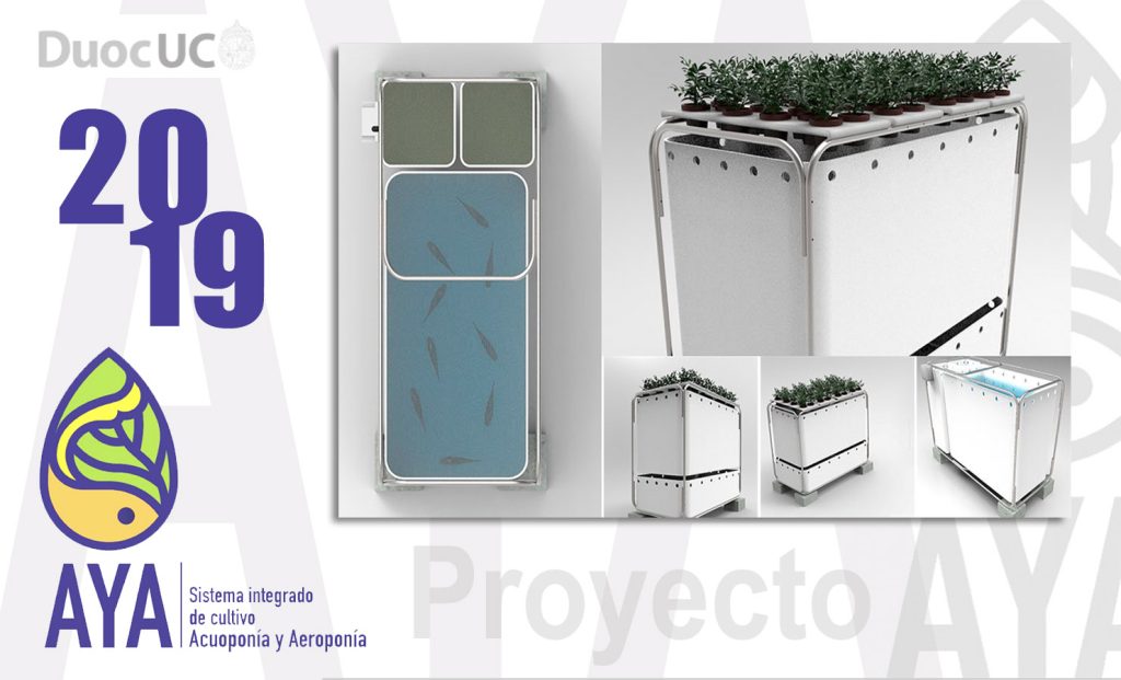 Proyecto AYA / 2019 (Etapa 2)