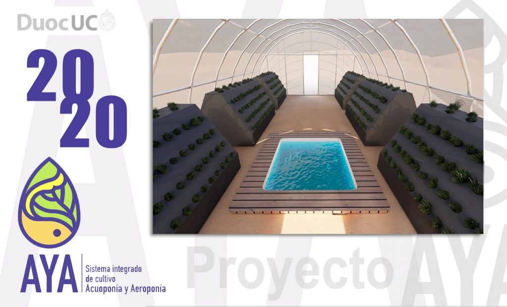 Proyecto AYA / 2020 (Etapa 3)