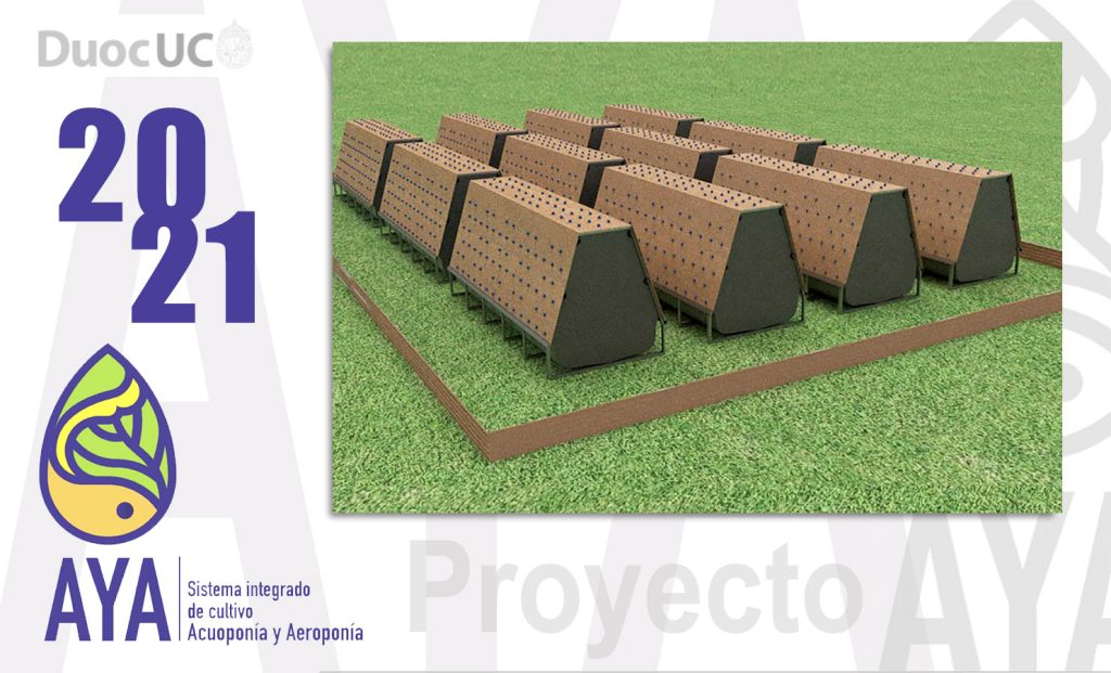 Proyecto AYA / 2021 (Etapa 4)