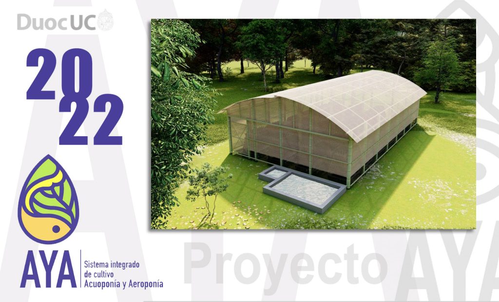 Proyecto AYA / 2022 (Etapa 5)