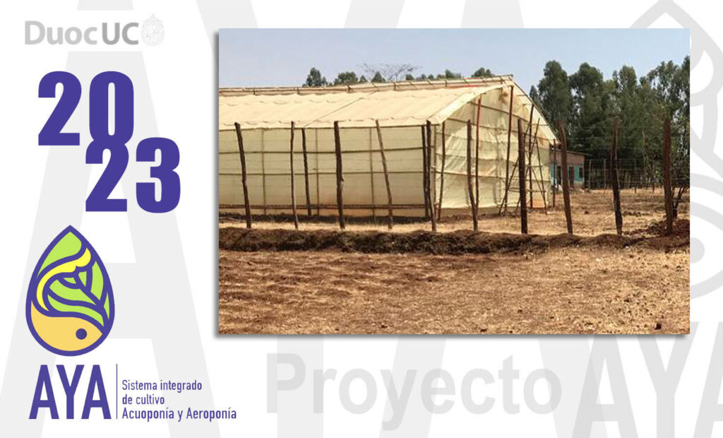 Proyecto AYA / 2023 (Etapa 6)