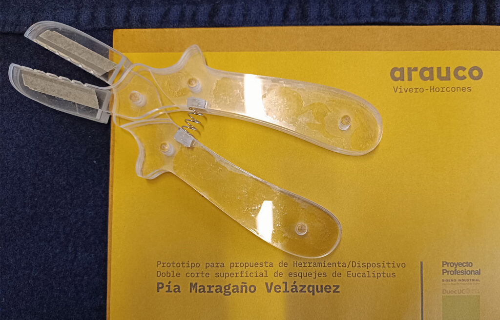 vivero10